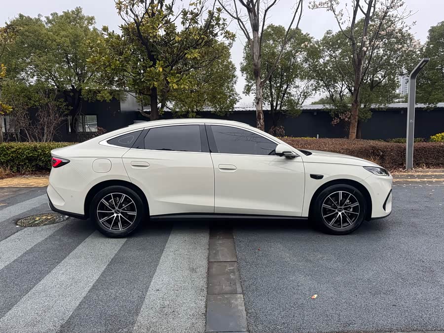 BYD Tang New Energy 2022 car image #6