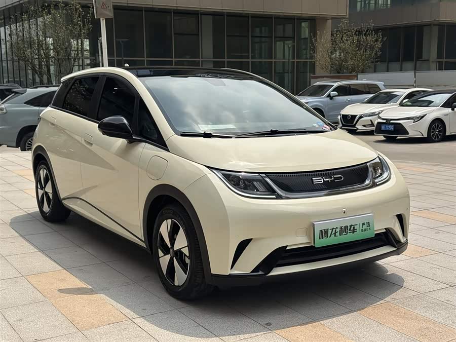 BYD Dolphin 2023 imagem de carro #6