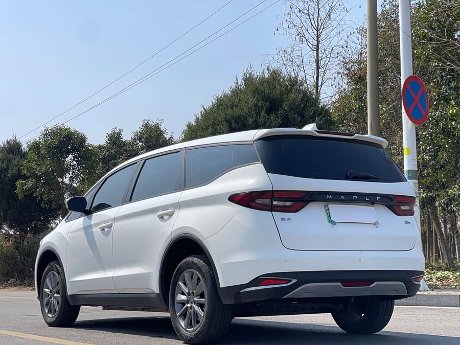 睿蓝汽车 枫叶80v 2020 汽车图片 #6