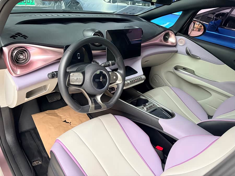 BYD Dolphin 2022 imagem de carro #6