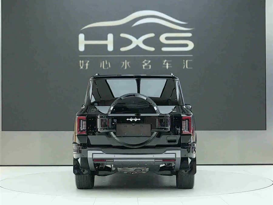 FangChengBao Leopard 8 2024 immagine di auto #6