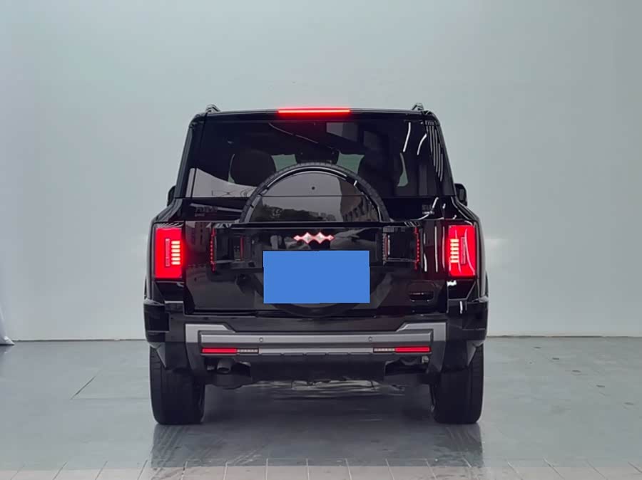 FangChengBao Leopard 8 2024 immagine di auto #6