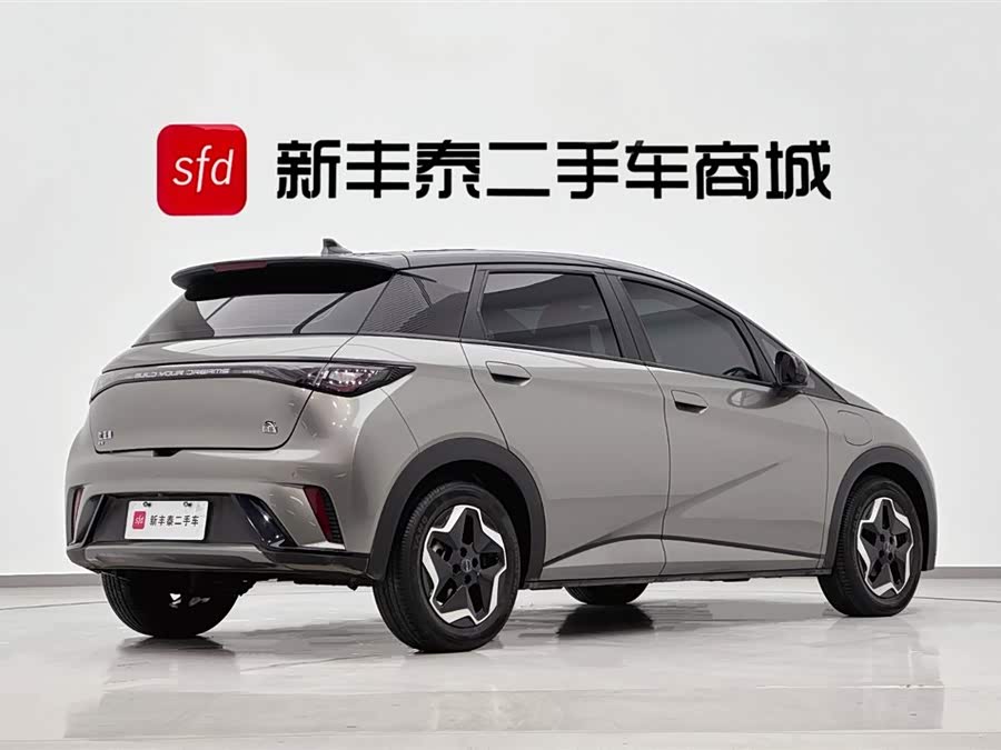 BYD Dolphin 2022 صورة سيارة #6