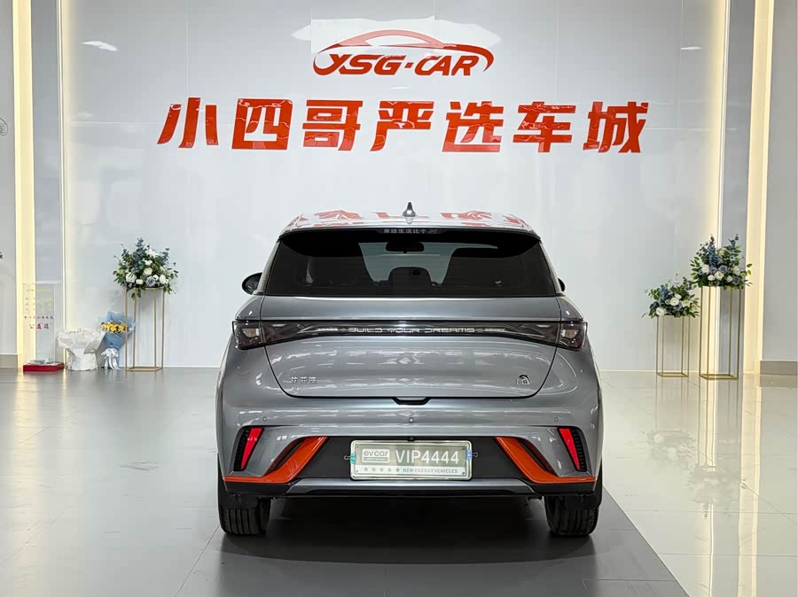 BYD Dolphin 2023 imagem de carro #6