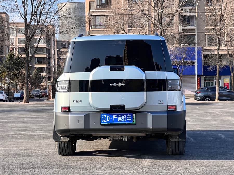 FangChengBao Tiger 7 2025 car image #6