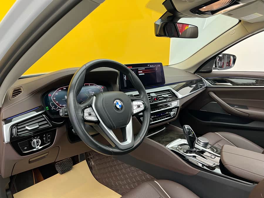 BMW 5 Series 2021 car image #6