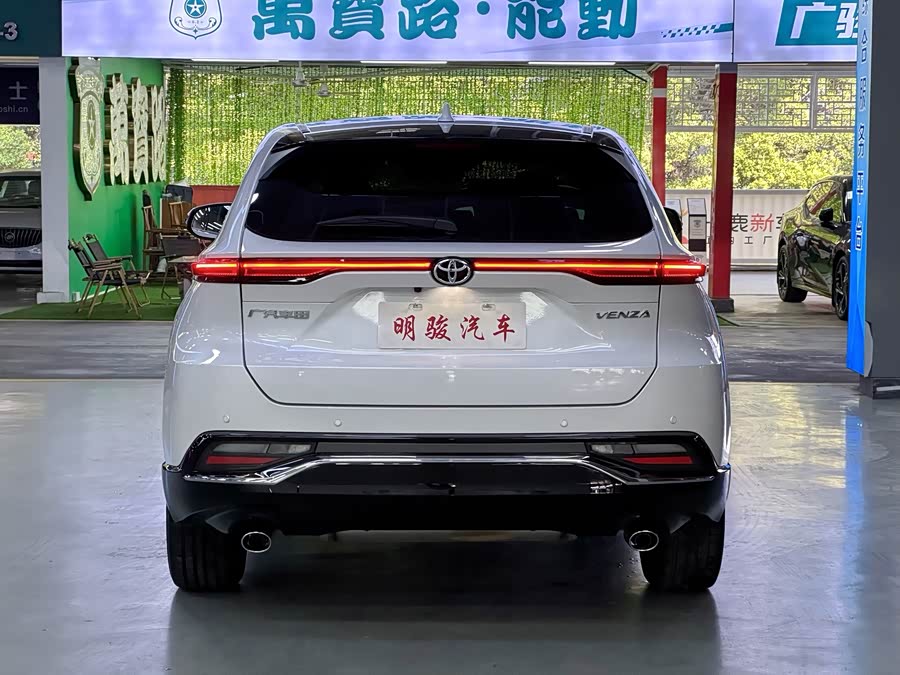 Toyota Venza 2024 car image #6