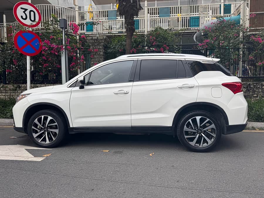 GAC Qizhi PHEV 2019 car image #6