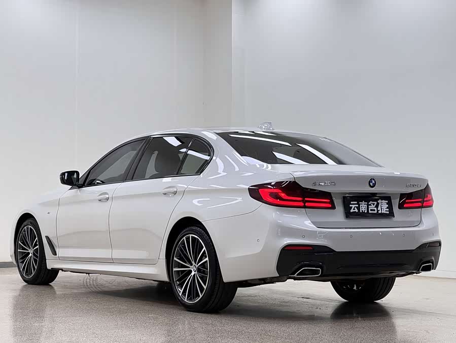 BMW 5 Series 2019 car image #6