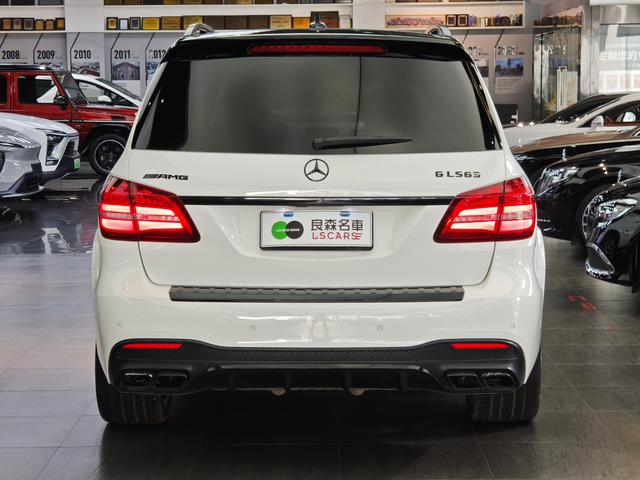 Mercedes-Benz GLS AMG 2019 car image #6