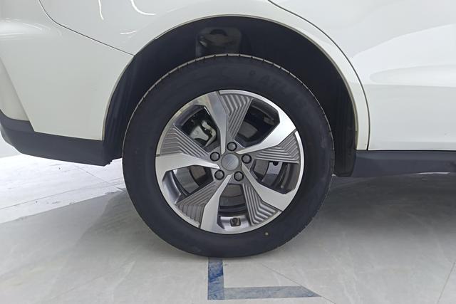 GEELY OkavangoPRO 2024 car image #6