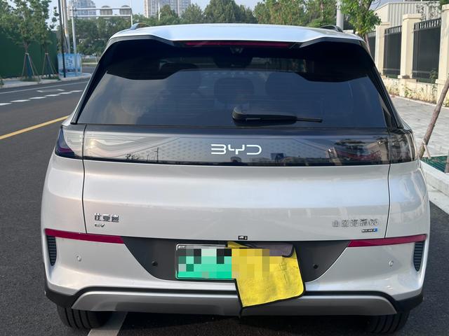 BYD Sea Lion 05 EV 2025 car image #6