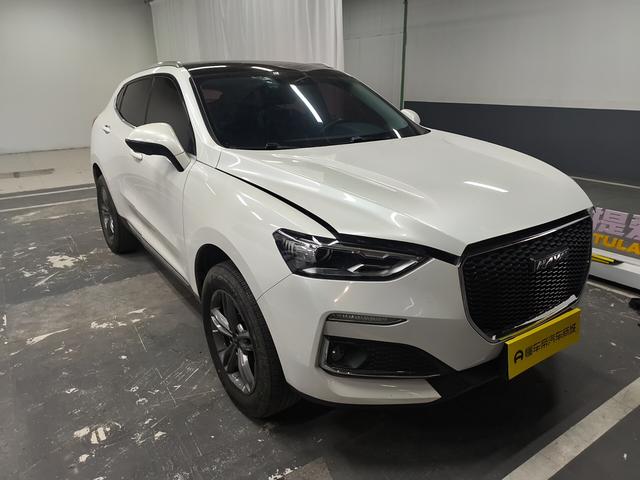Haval F5 2019 immagine di auto #6