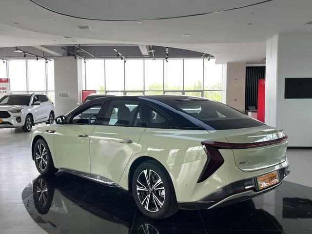 HongQi EH7 2024 car image #6
