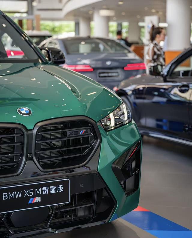 BMW X5 M car image #6