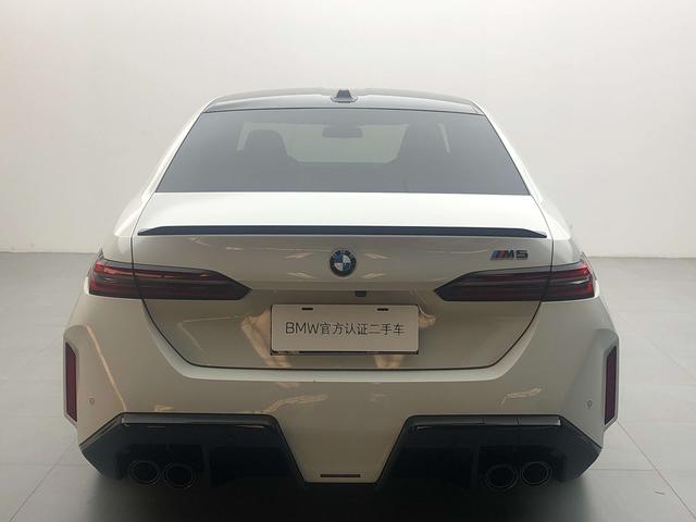 BMW M5 New Energy car image #6