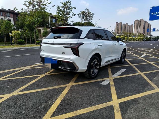 HongQi HS3 2023 immagine di auto #6