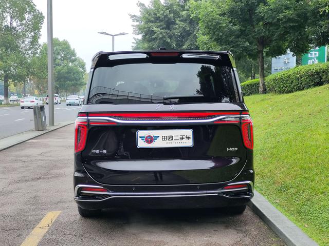 HongQi HQ9 2023 car image #6