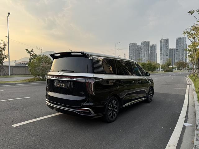 HongQi HQ9 2023 car image #6