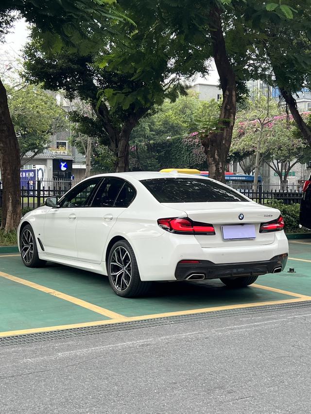 BMW 5 Series (Imported) 2021 imagem de carro #6