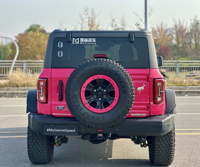 福特 福特烈马 2024 #6 福特 福特烈马 2024 汽车图片 #6