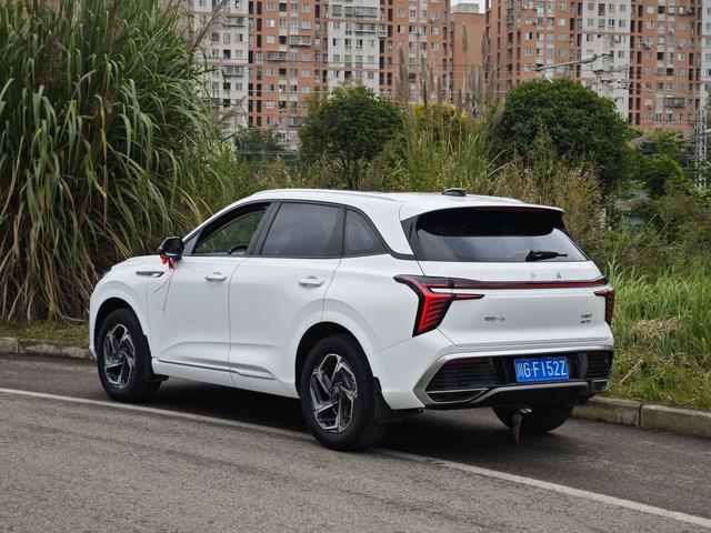 HongQi HS3 2023 car image #6