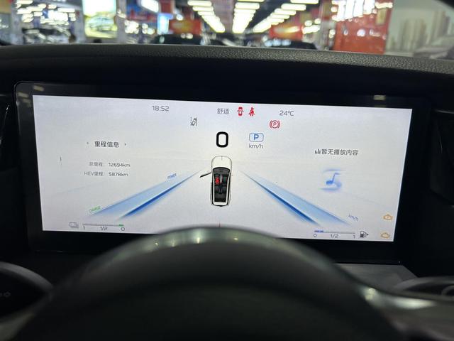 HongQi HS7 PHEV 2024 car image #6