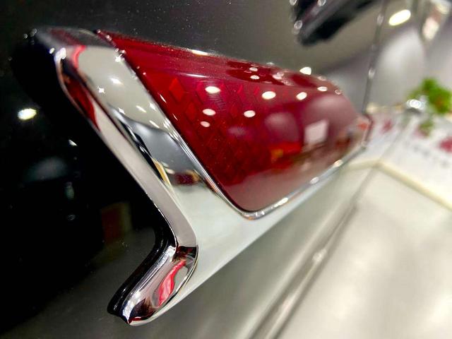 HongQi GuoYao immagine di auto #6