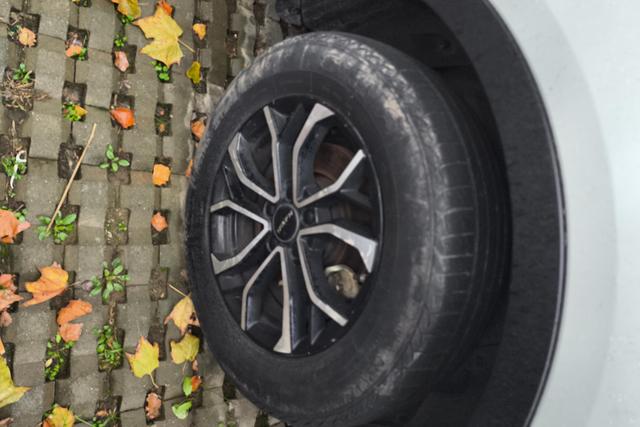 Haval H6 2021 car image #6