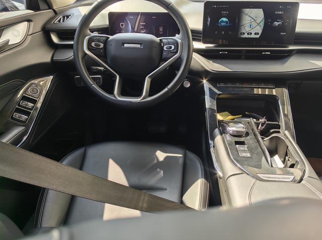 Haval H6 2021 car image #6