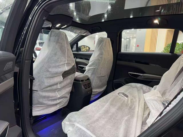 HongQi TianGong 08 car image #6