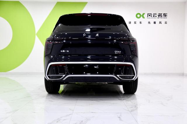 HongQi HS3 2024 immagine di auto #6