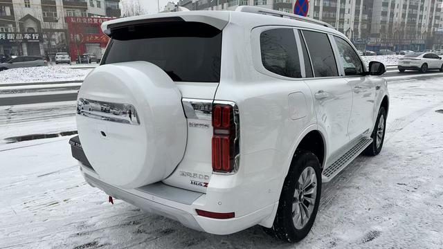 Tank 500 2025 car image #6