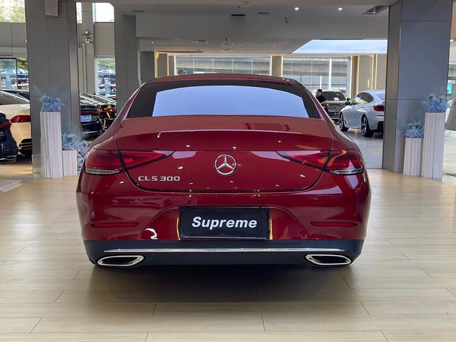 Mercedes-Benz CLS Class 2019 car image #6