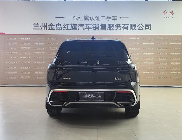 HongQi HS3 PHEV 2024 car image #6