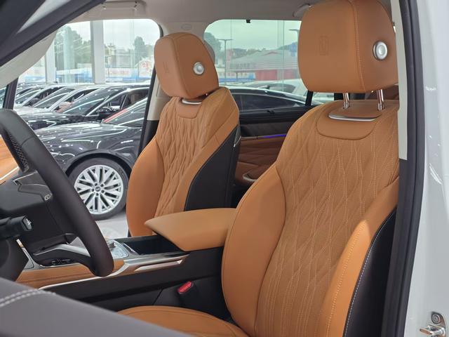 Tank 500 2024 car image #6