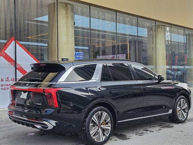 HongQi E-HS9 2022 car image #6