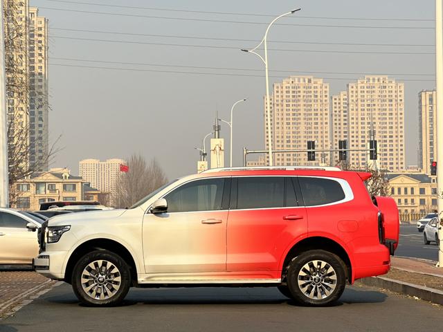 Tank 500 2024 car image #6