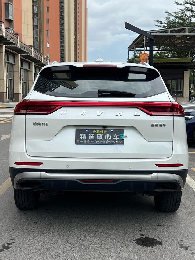 Haval H6 2023 car image #6