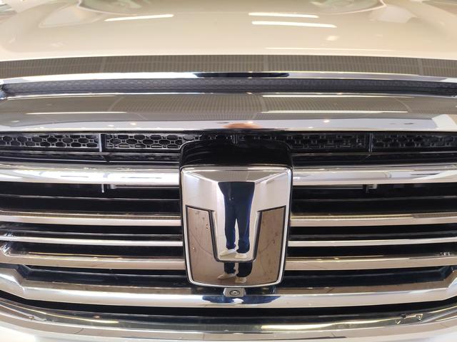 Tank 500 2024 car image #6