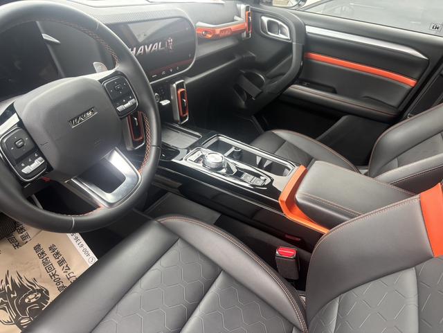 Haval X Dog / Dargo 2020 immagine di auto #6