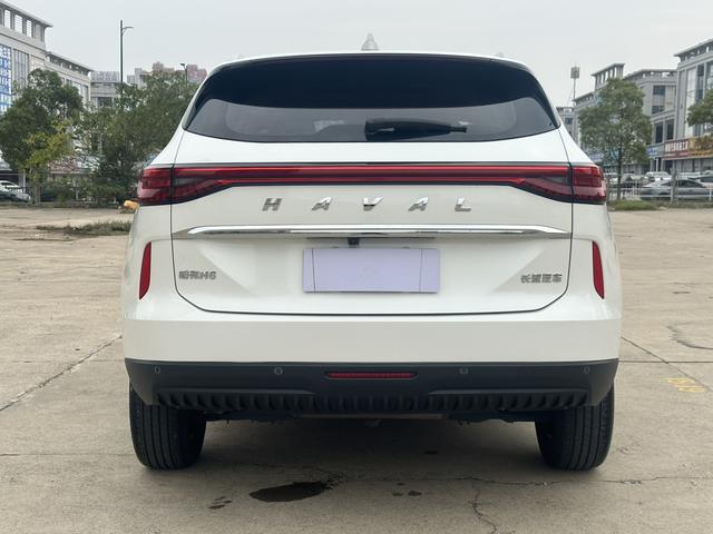 Haval H6 2022 car image #6