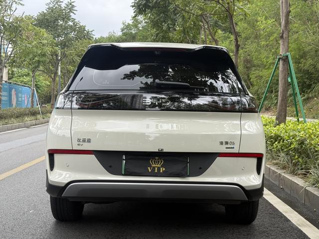 BYD Sea Lion 05 EV 2025 car image #6