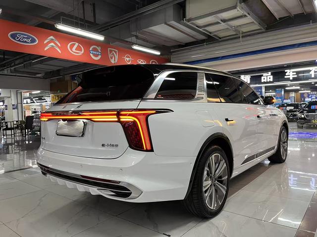 HongQi E-HS9 2022 #6 HongQi E-HS9 2022 car image #6