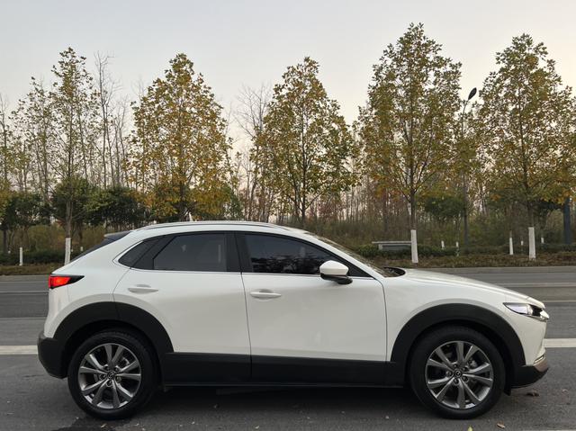 Mazda CX-30 EV 2021 image de voiture #6