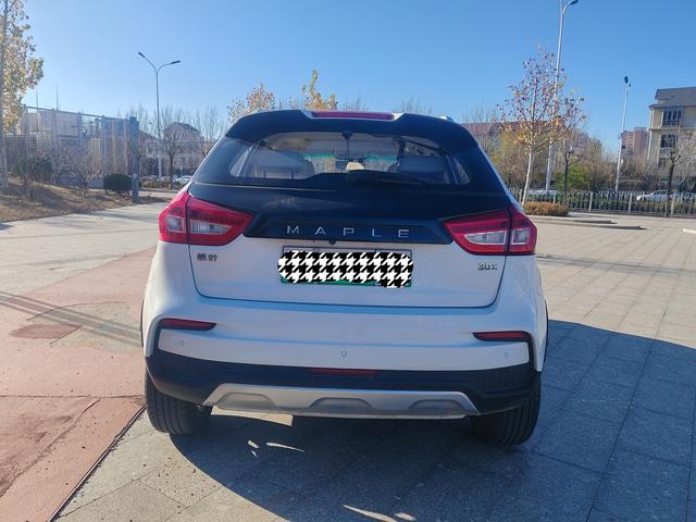 Livan Maple 30X 2021 изображение автомобиля #6