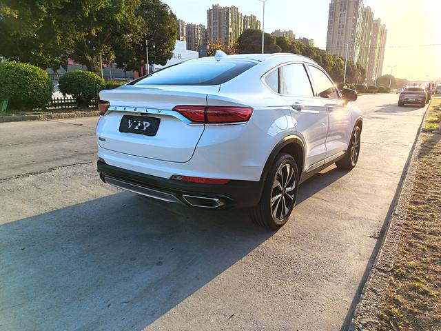 GEELY Tugella S 2021 car image #6