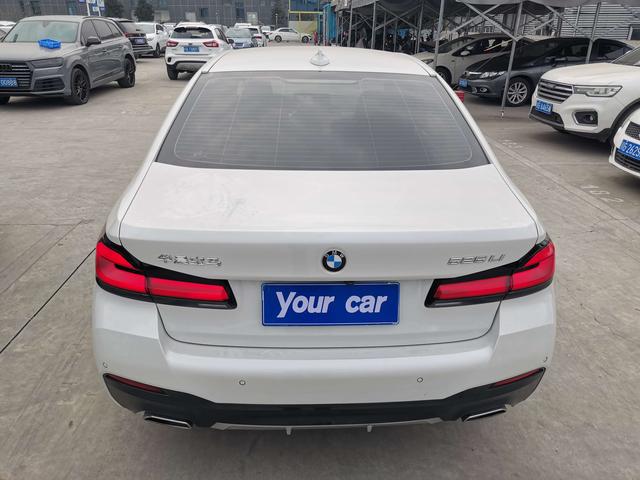 BMW 5 Series 2021 car image #6