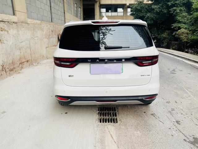 睿蓝汽车 枫叶80v PRO 2023 汽车图片 #6