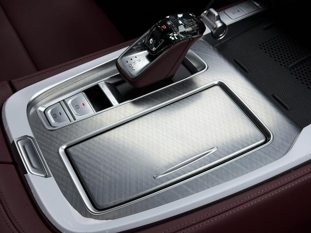 Tank 700 New Energy 2025 immagine di auto #6